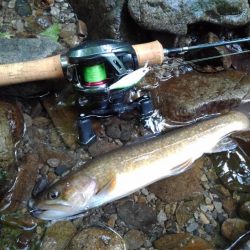 渓流ベイトフィネス第２回戦